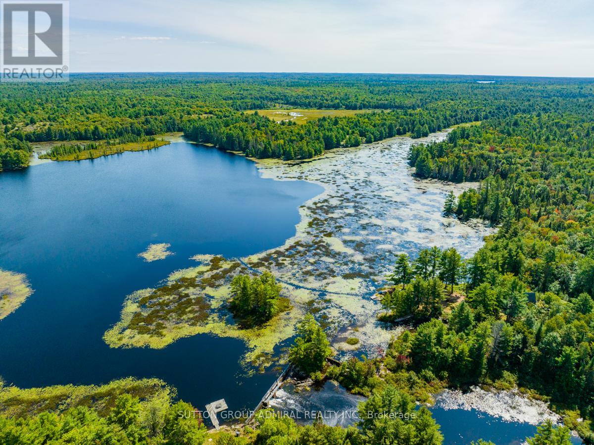 34 Strange Point Road, Seguin, Ontario  P2A 2W9 - Photo 15 - X9237626