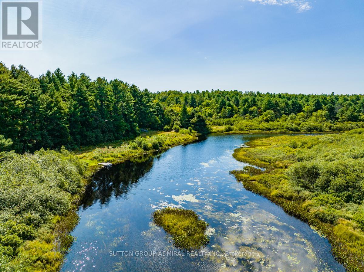 34 Strange Point Road, Seguin, Ontario  P2A 2W9 - Photo 21 - X9237626