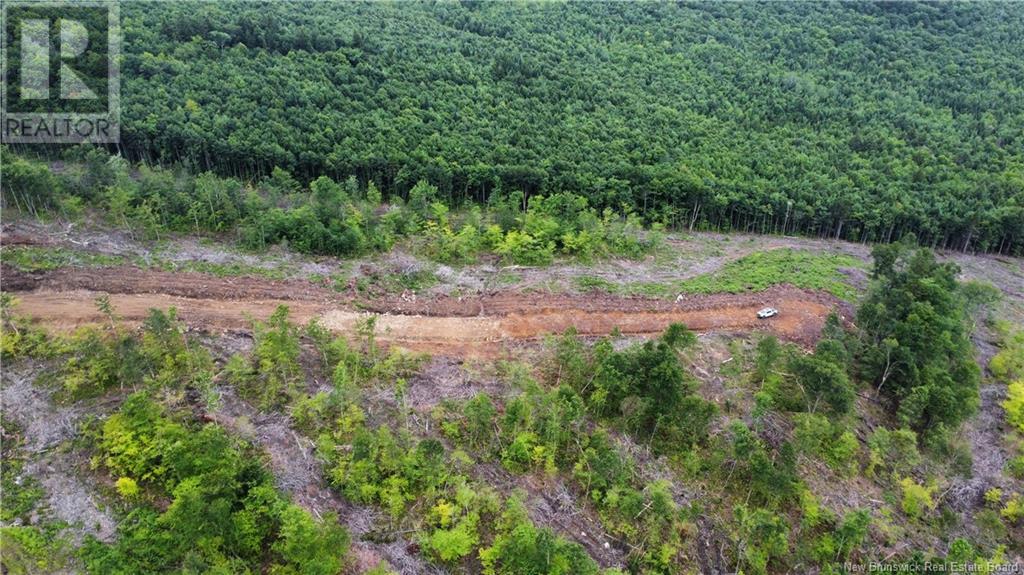 Lot 16 Crabbe Mountain, Central Hainesville, New Brunswick  E6E 1E3 - Photo 13 - NB103927