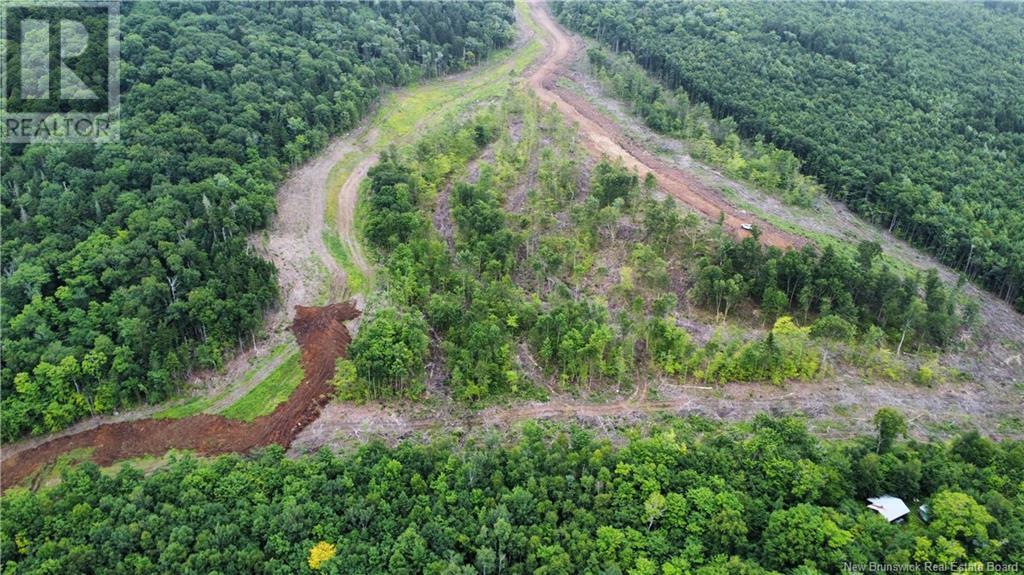 Lot 14 Crabbe Mountain, Central Hainesville, New Brunswick  E6E 1E3 - Photo 7 - NB103930