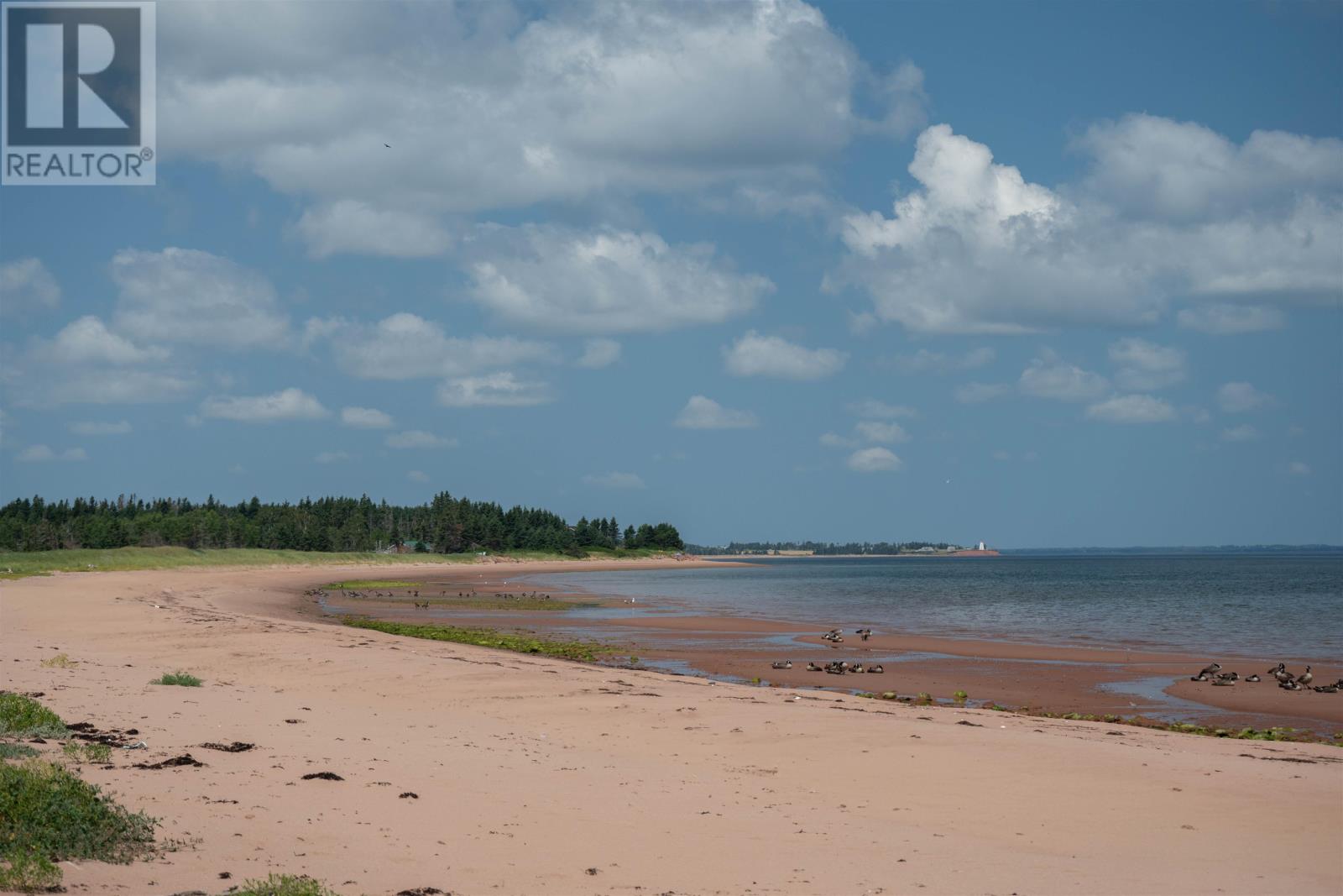 278 Reillys Road, Gaspereau, Prince Edward Island  C0A 1R0 - Photo 50 - 202418626