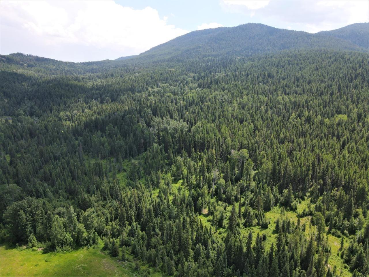 3065 Lind Creek Road, Greenwood, British Columbia  V0H 1J0 - Photo 19 - 2478829