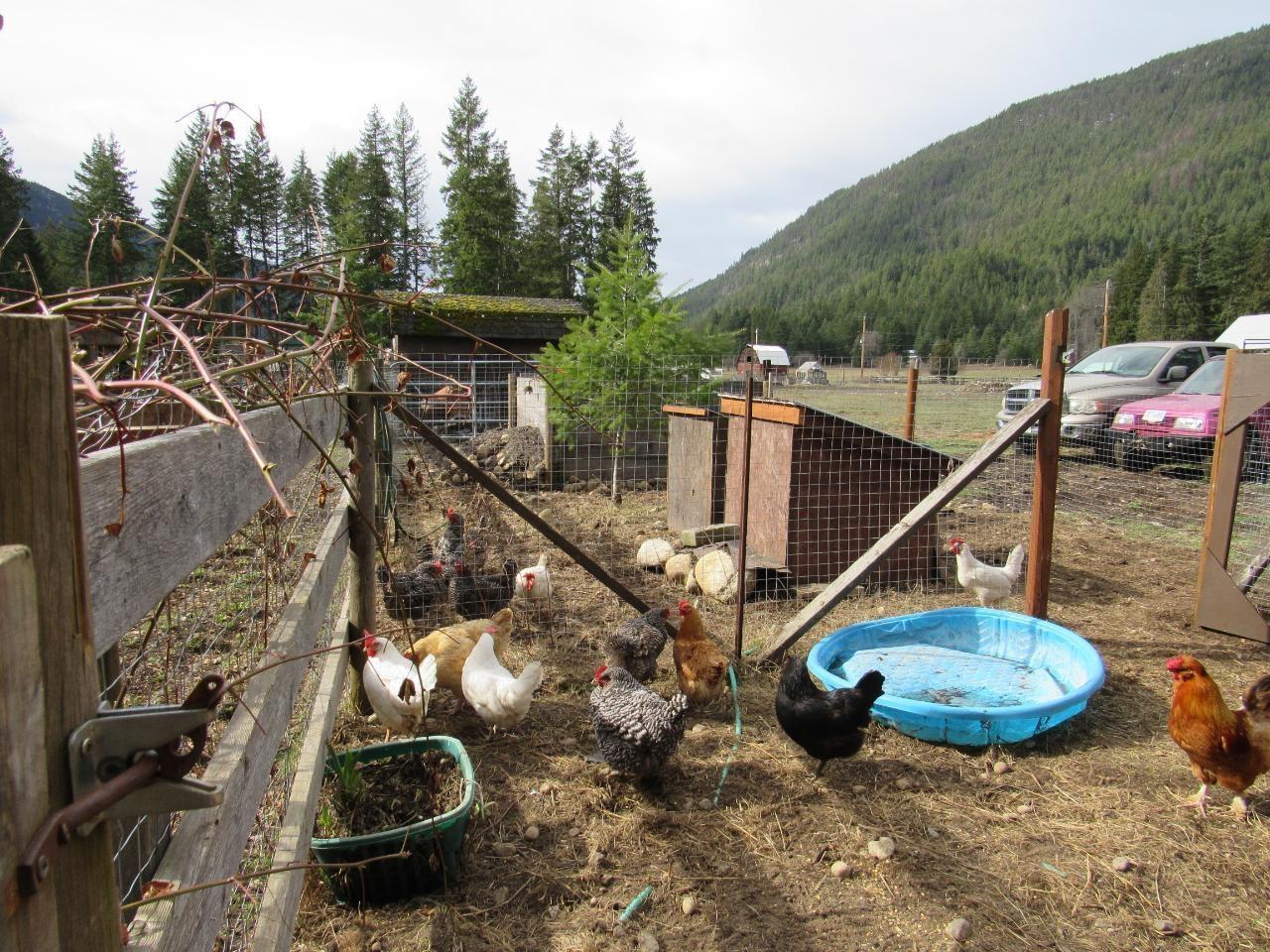 2015 Highway 3a, Castlegar, British Columbia  V1N 4N1 - Photo 47 - 2478830