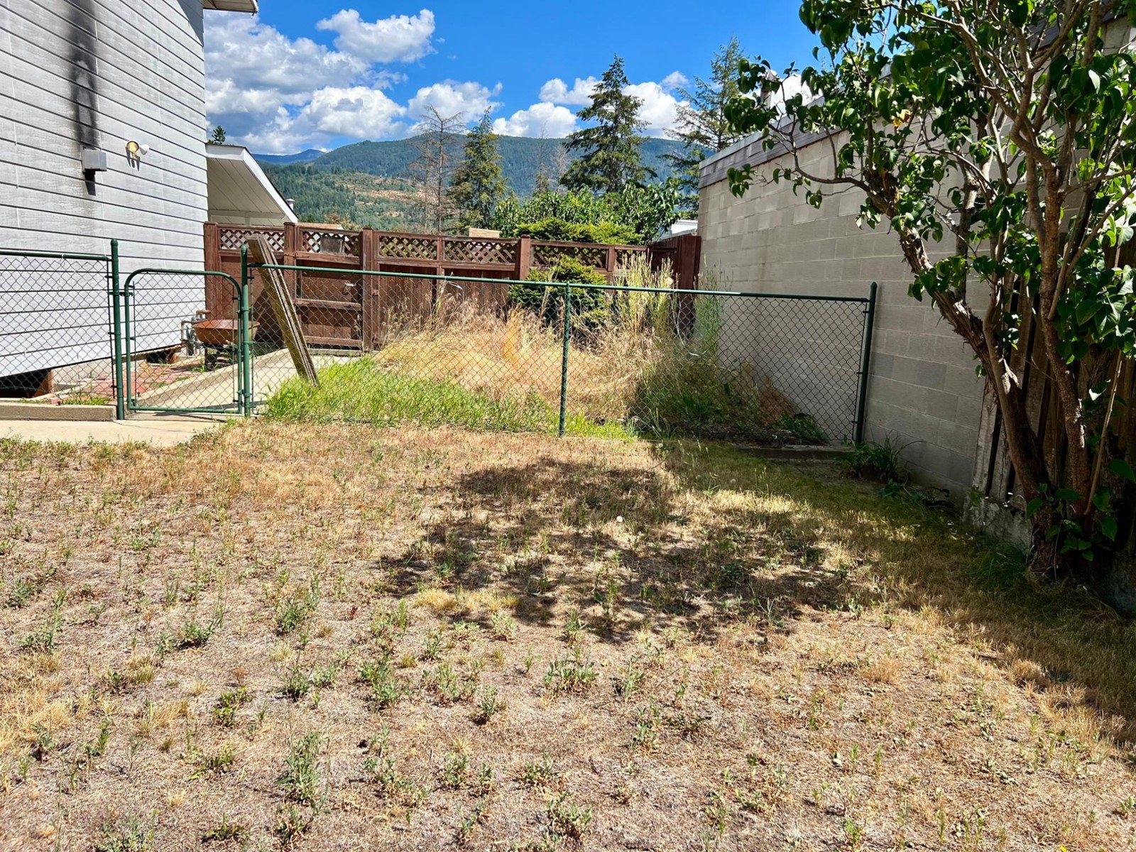 614 12th Street, Castlegar, British Columbia  V1N 2K3 - Photo 39 - 2478794