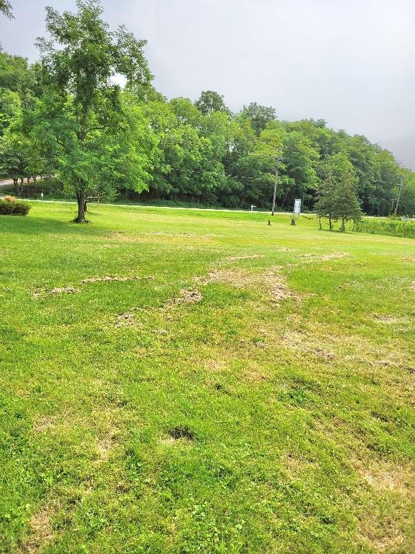 Image of property at 4251 KING Street E