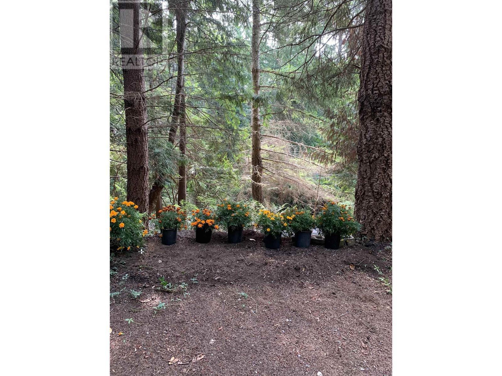 5569 Sans Souci Road, Halfmoon Bay, British Columbia  V7Z 1B6 - Photo 26 - R2907579