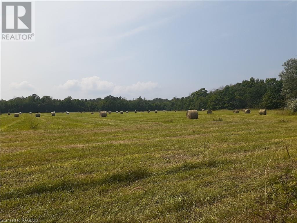 Lot 36, 36-37 Conc 6-7, Northern Bruce Peninsula, Ontario  N0H 1Z0 - Photo 18 - 40629221