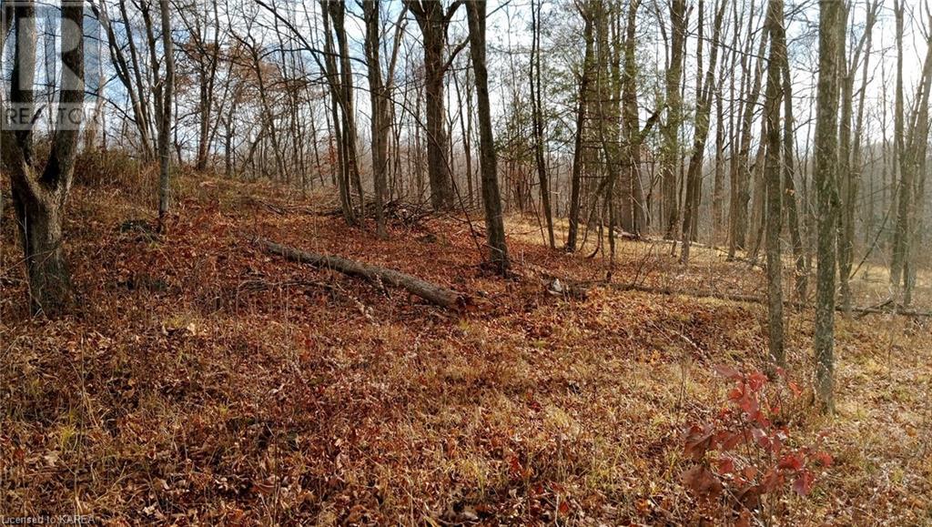 Pt Lt 7 (Part 2) Tryon Road, Sharbot Lake, Ontario  K0H 2P0 - Photo 1 - 40628921