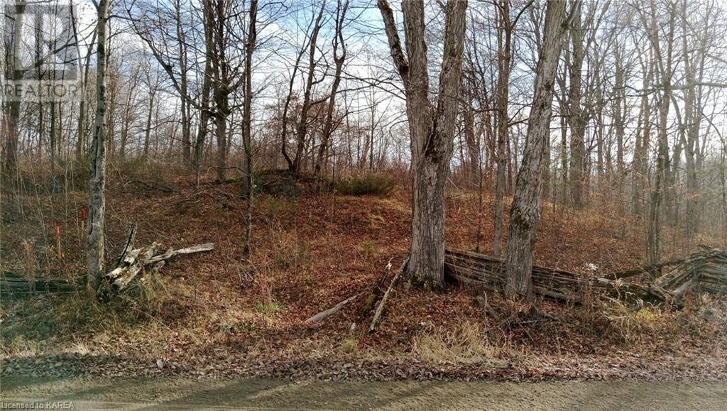 Pt Lt 7 (Part 2) Tryon Road, Sharbot Lake, Ontario  K0H 2P0 - Photo 2 - 40628921