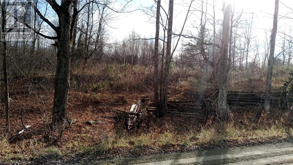 Pt Lt 7 (Part 1) Tryon Road, Sharbot Lake, Ontario  K0H 2P0 - Photo 1 - 40628884