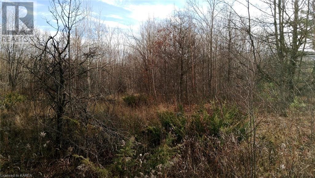 Pt Lt 7 (Part 1) Tryon Road, Sharbot Lake, Ontario  K0H 2P0 - Photo 2 - 40628884