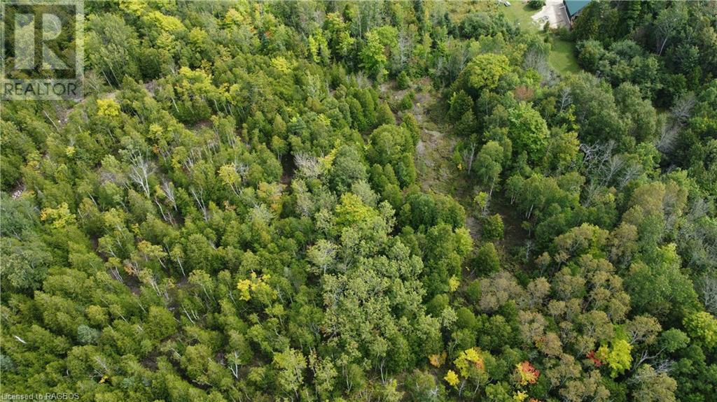 41 Noble Drive, Miller Lake, Ontario  N0H 1Z0 - Photo 19 - 40628909