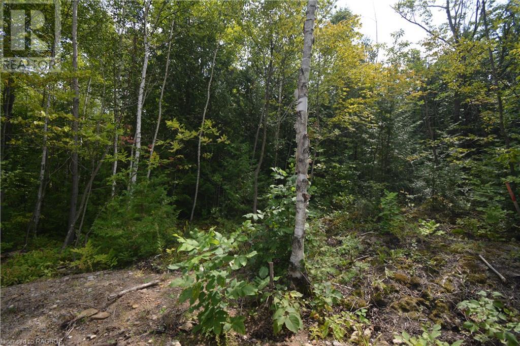 41 Noble Drive, Miller Lake, Ontario  N0H 1Z0 - Photo 36 - 40628909