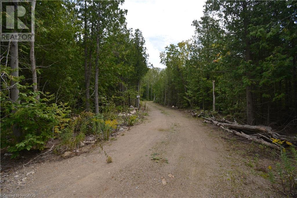 41 Noble Drive, Miller Lake, Ontario  N0H 1Z0 - Photo 42 - 40628909