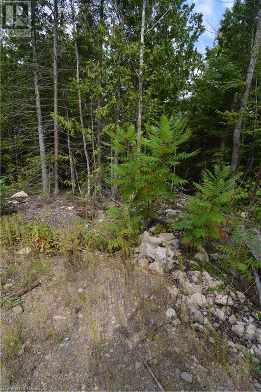 41 Noble Drive, Miller Lake, Ontario  N0H 1Z0 - Photo 37 - 40628909