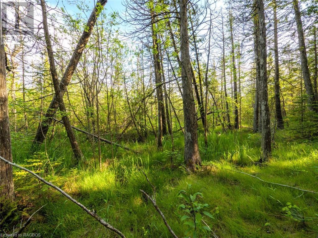 Lot 31-32 Big Tub Road, Tobermory, Ontario  N0H 2R0 - Photo 15 - 40628768