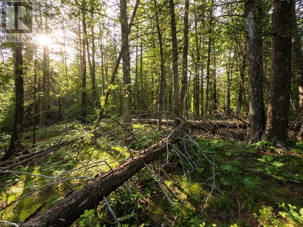 Lot 31-32 Big Tub Road, Tobermory, Ontario  N0H 2R0 - Photo 18 - 40628768