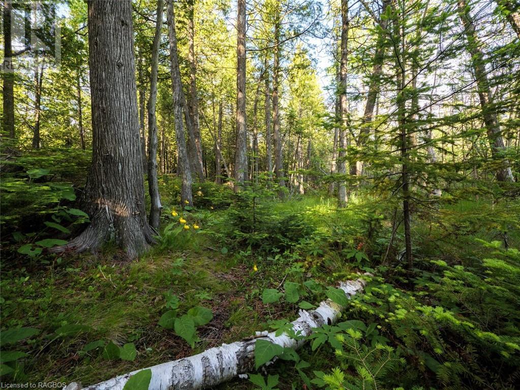 Lot 31-32 Big Tub Road, Tobermory, Ontario  N0H 2R0 - Photo 19 - 40628768