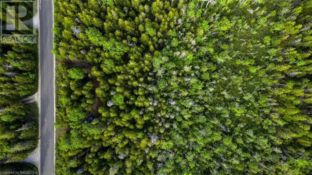 Lot 31-32 Big Tub Road, Tobermory, Ontario  N0H 2R0 - Photo 24 - 40628768