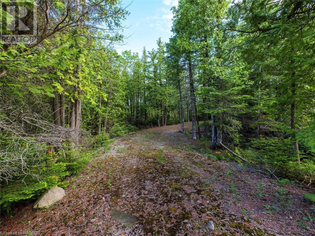 Lot 31-32 Big Tub Road, Tobermory, Ontario  N0H 2R0 - Photo 4 - 40628768