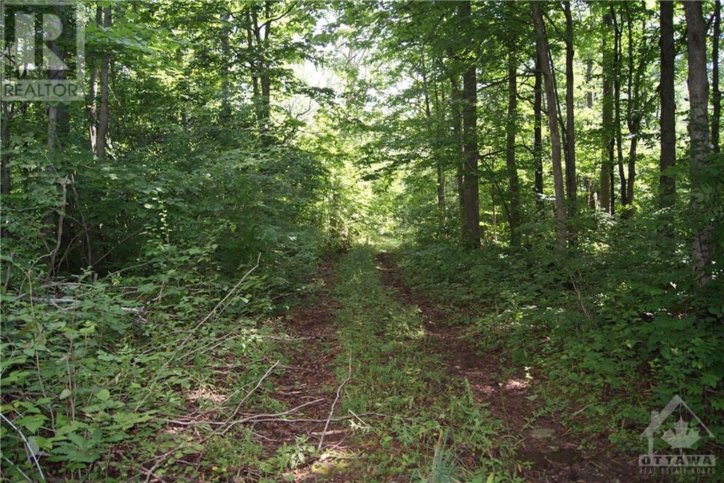 3159 8th Line Road, Metcalfe, Ontario  K0A 2P0 - Photo 20 - 1405662
