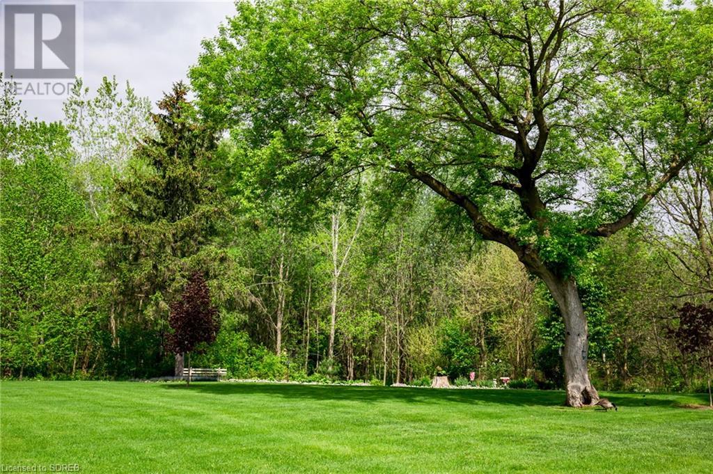 5 Mill Pond Court Unit# 402, Simcoe, Ontario N3Y 5J6 - Photo 45 - 40629043