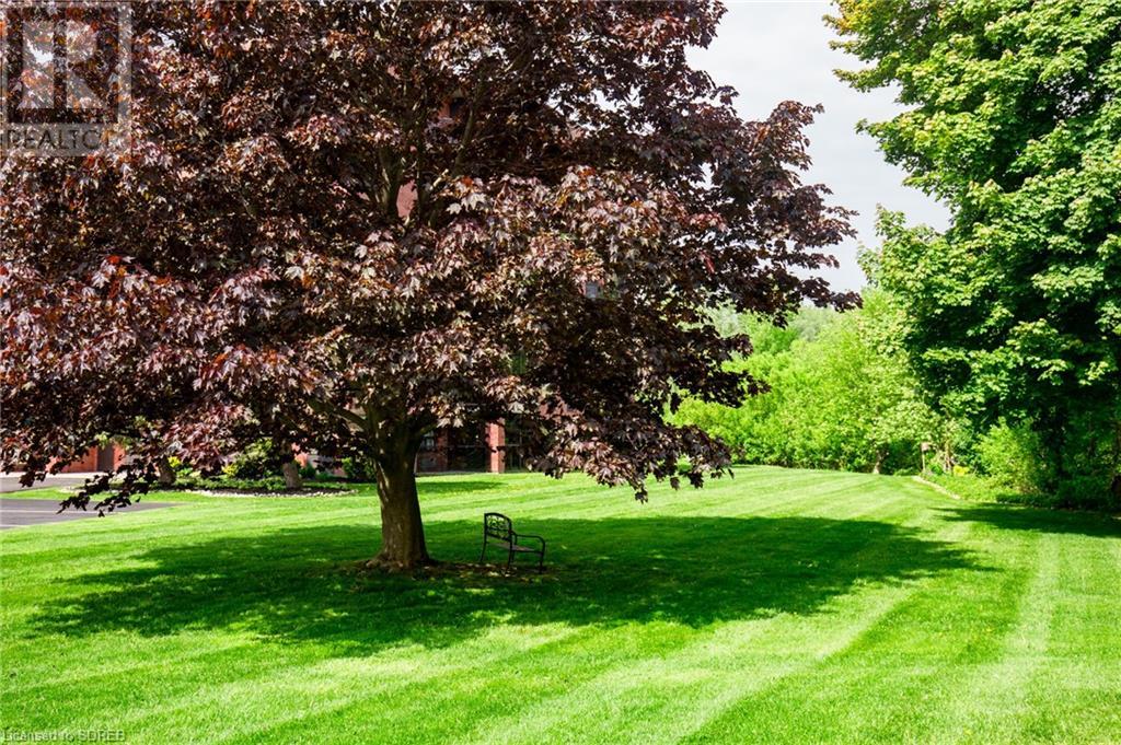 5 Mill Pond Court Unit# 402, Simcoe, Ontario N3Y 5J6 - Photo 47 - 40629043