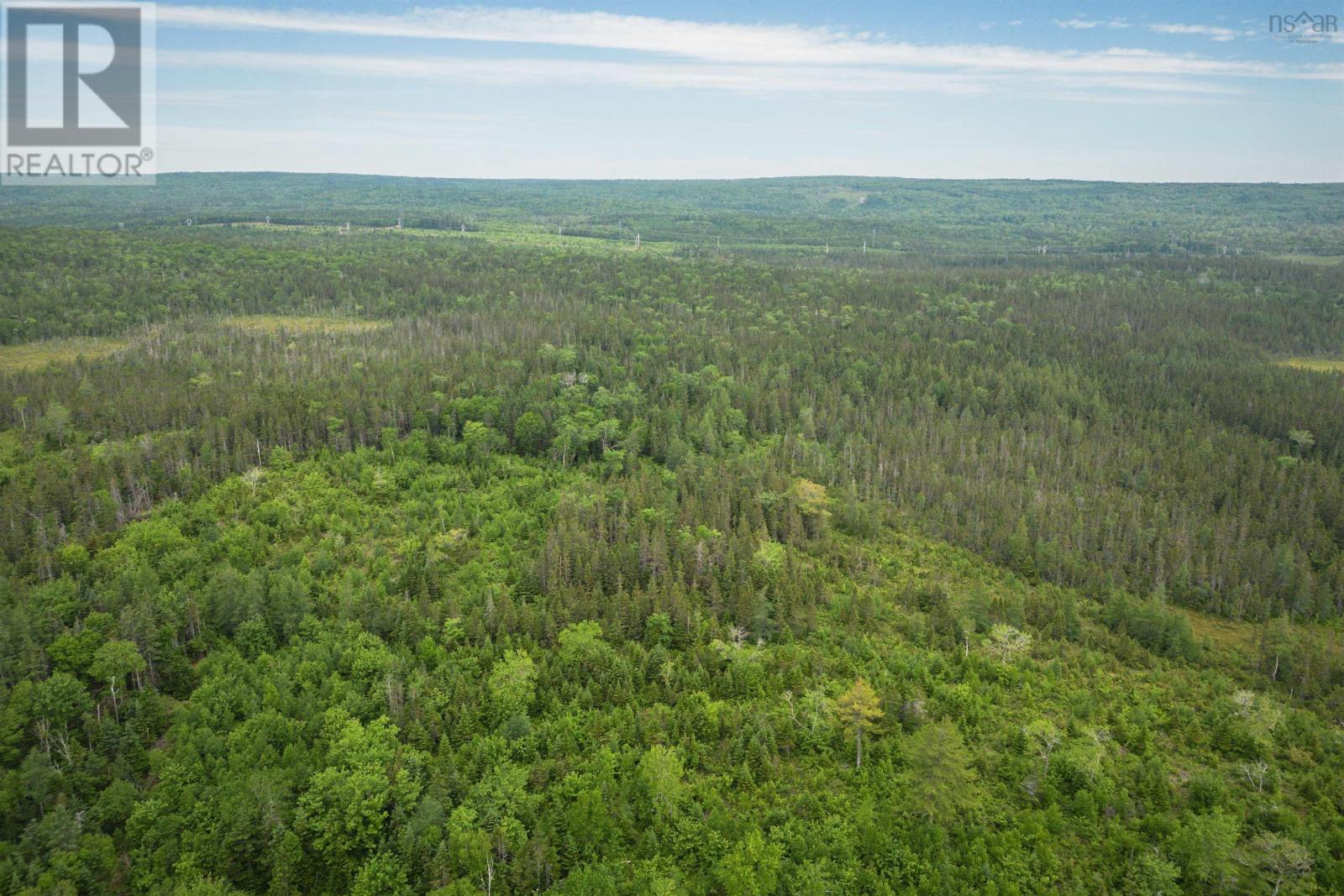 197 + / - Back Road, Thibeauville, Nova Scotia  B0E 1V0 - Photo 5 - 202415385