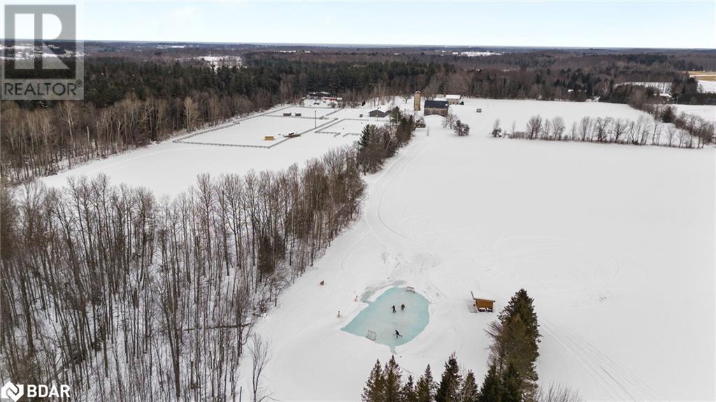 3750 10 Line N, Oro-Medonte, Ontario  L0K 1E0 - Photo 3 - 40629460