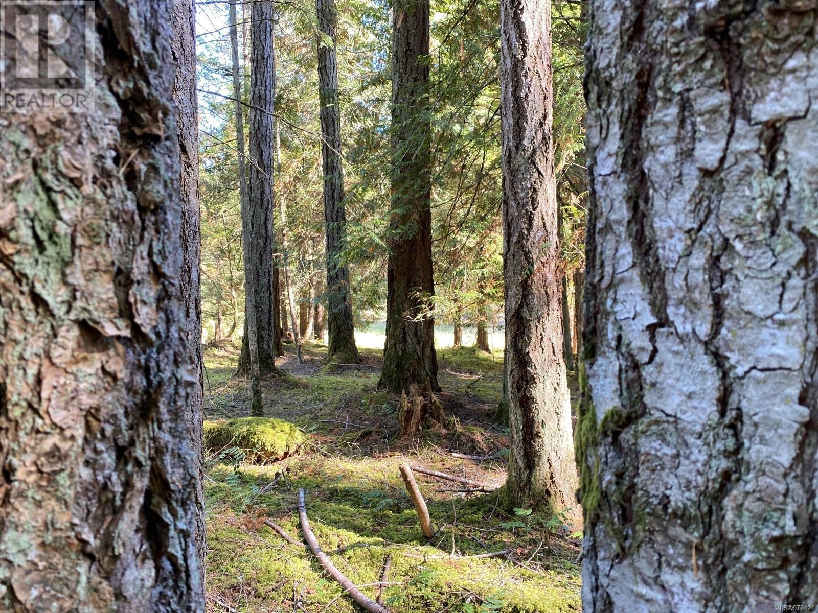 Lorem Ipsum Dolo, Gabriola Island, British Columbia  V0R  - Photo 12 - DEMO27253267