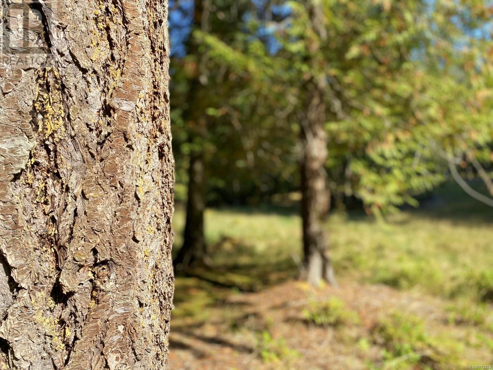 Lorem Ipsum Dolo, Gabriola Island, British Columbia  V0R  - Photo 15 - DEMO27253267