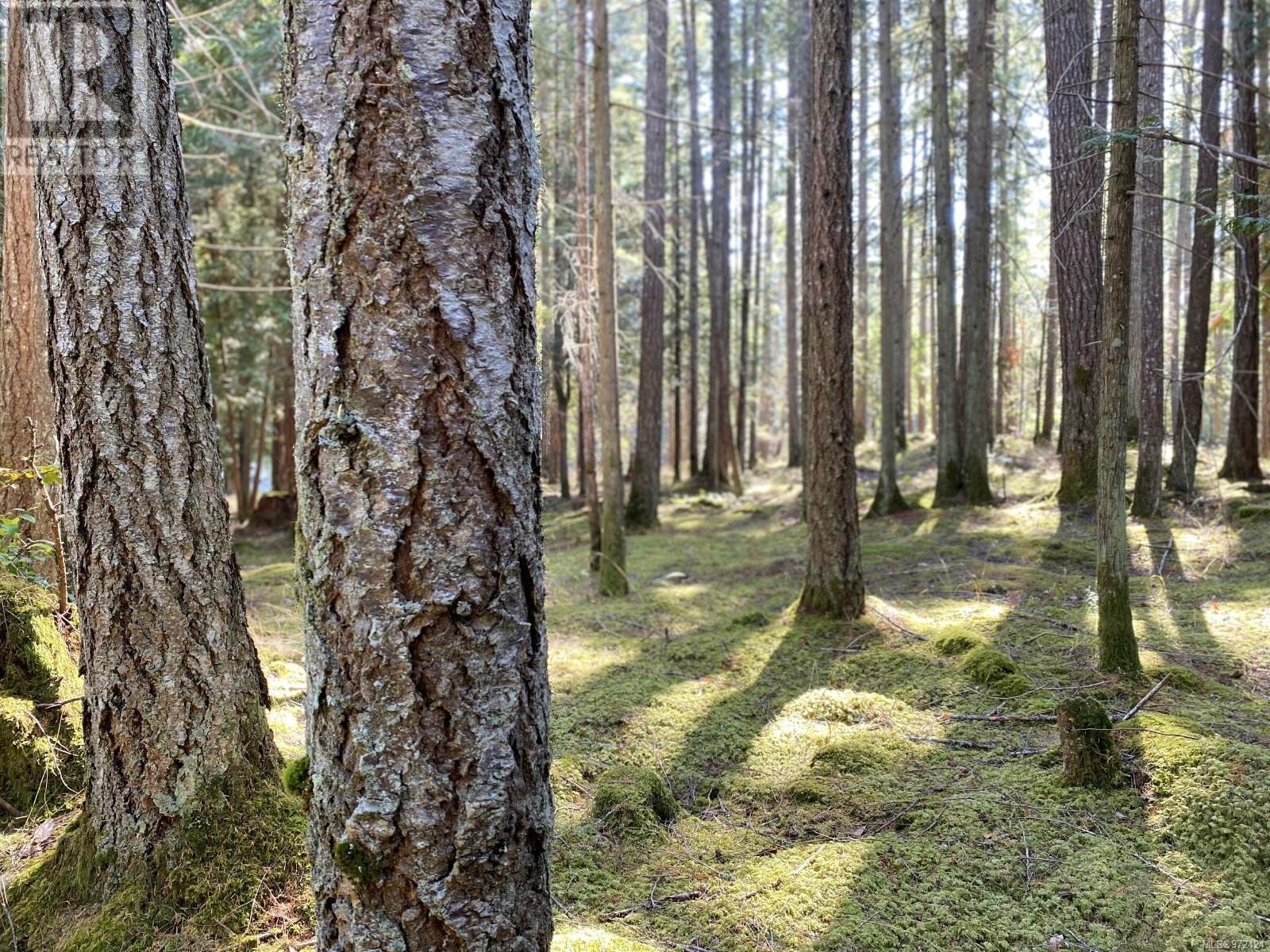 Lorem Ipsum Dolo, Gabriola Island, British Columbia  V0R  - Photo 9 - DEMO27253267