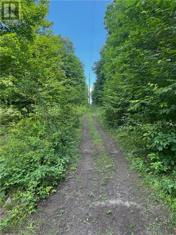 157 Merkley Road, Portland, Ontario  K0G 1V0 - Photo 1 - 1404858