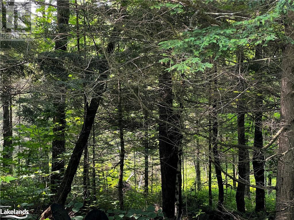 4655 ASPDIN ROAD, muskoka lakes (cardwell), Ontario