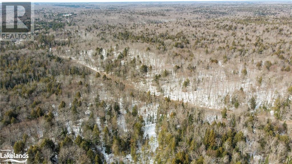 4655 Aspdin Road, Muskoka Lakes (Cardwell), Ontario  P0C 1J0 - Photo 15 - X10897755