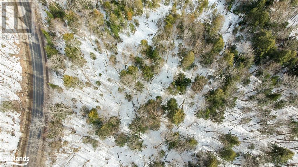 4655 Aspdin Road, Muskoka Lakes (Cardwell), Ontario  P0C 1J0 - Photo 18 - X10897755