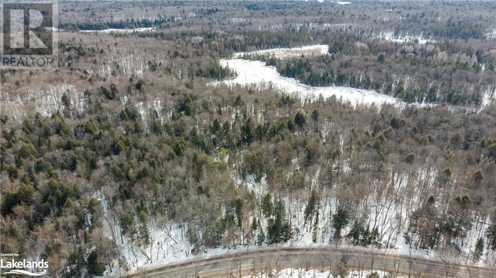 4655 Aspdin Road, Muskoka Lakes (Cardwell), Ontario  P0C 1J0 - Photo 19 - X10897755