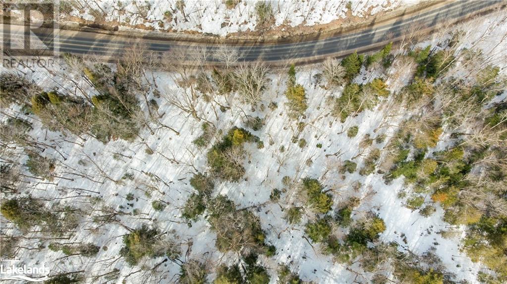 4655 Aspdin Road, Muskoka Lakes (Cardwell), Ontario  P0C 1J0 - Photo 26 - X10897755