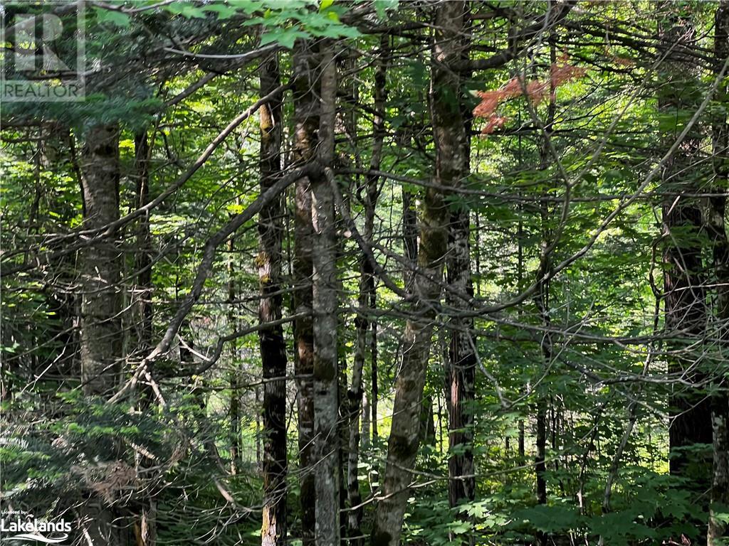 4655 Aspdin Road, Muskoka Lakes (Cardwell), Ontario  P0C 1J0 - Photo 8 - X10897755