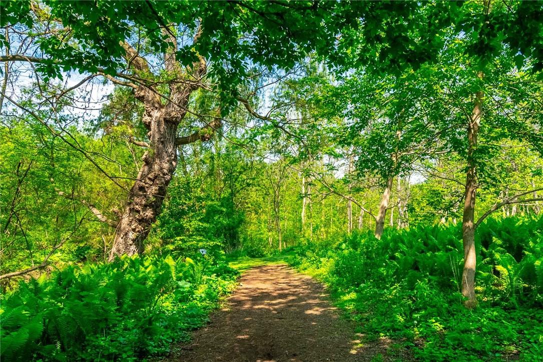 Image of property at 4306 Lakeshore Road