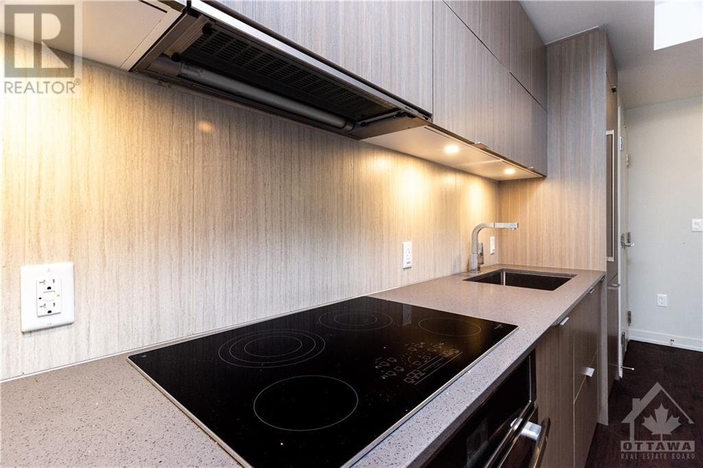808 - 101 Queen Street, Ottawa, Ontario  K1P 0B7 - Photo 10 - X9517918