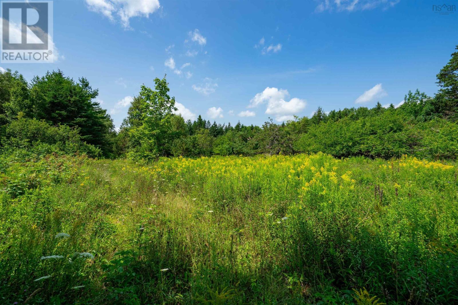 Lorem Ipsum Dolor, Virginia East, Nova Scotia  B0S  - Photo 1 - DEMO27248449