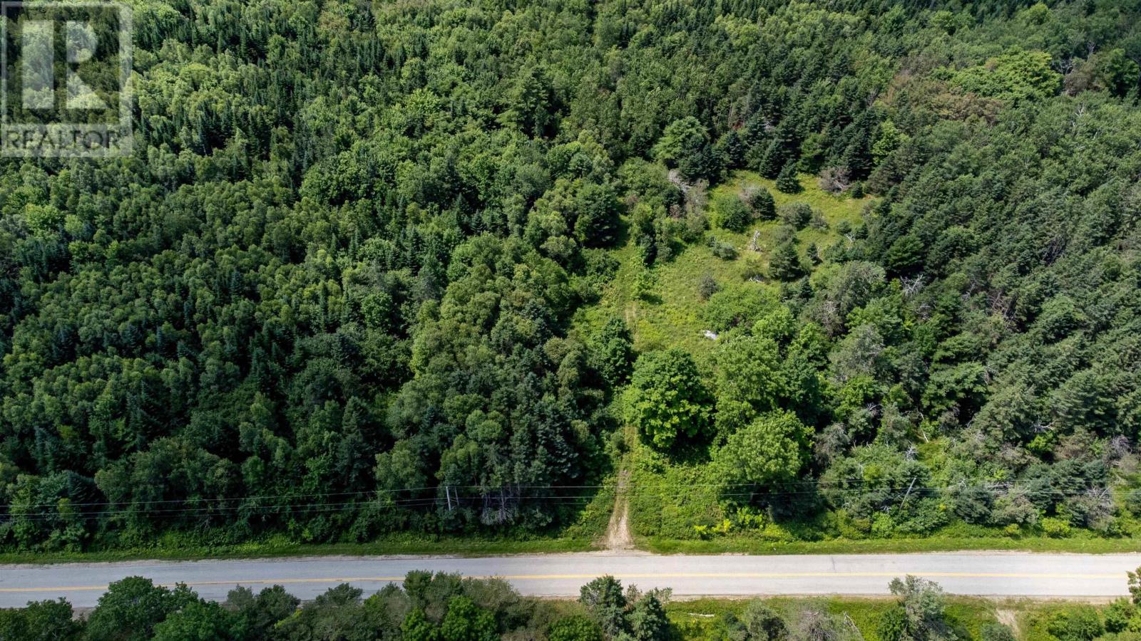 Lorem Ipsum Dolor, Virginia East, Nova Scotia  B0S  - Photo 4 - DEMO27248449