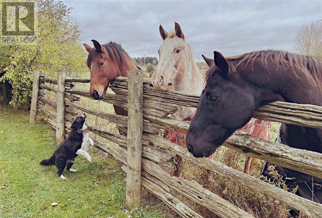 Image of property at 7456 WELLINGTON ROAD 51