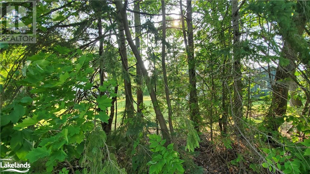 Lot 59 47th Street S, Wasaga Beach, Ontario  L9Z 1Y6 - Photo 6 - 40629412