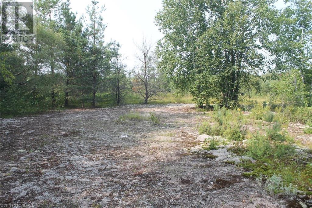 543 Cook Mills Road, North Bay, Ontario  P1B 8G3 - Photo 5 - 40629850