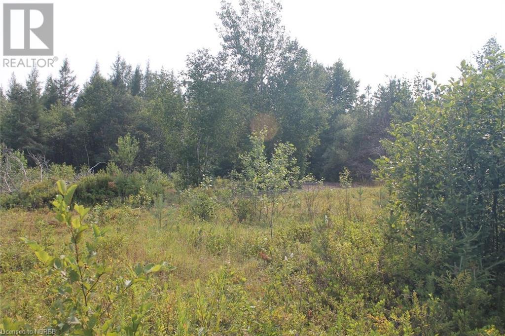 543 Cook Mills Road, North Bay, Ontario  P1B 8G3 - Photo 8 - 40629850