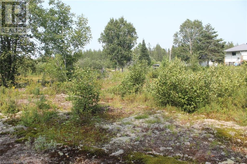 543 Cook Mills Road, North Bay, Ontario  P1B 8G3 - Photo 3 - 40629850