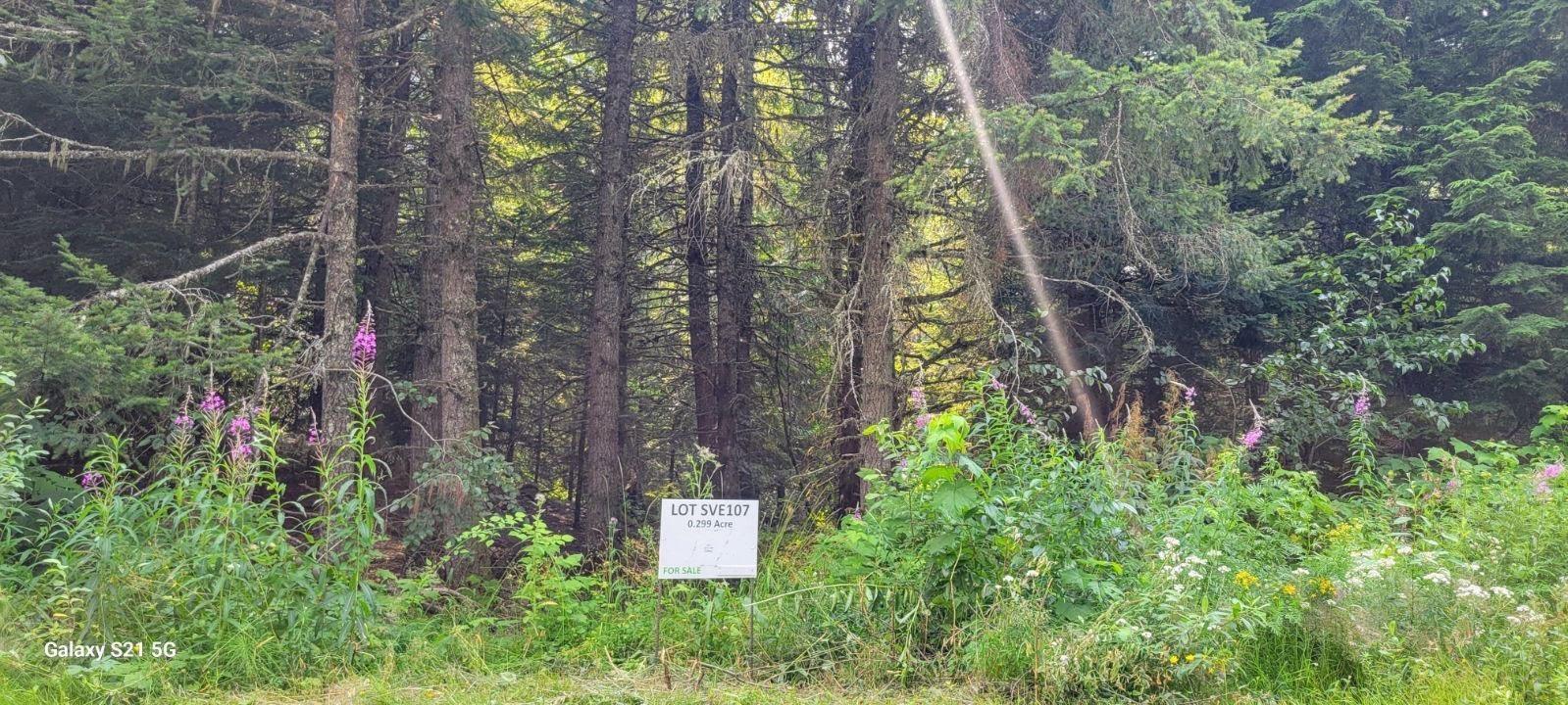 Sve107 Old Hope Princeton Highway, Sunshine Valley, Sunshine Valley, British Columbia V0X 1L5 - Photo 1 - R2912561