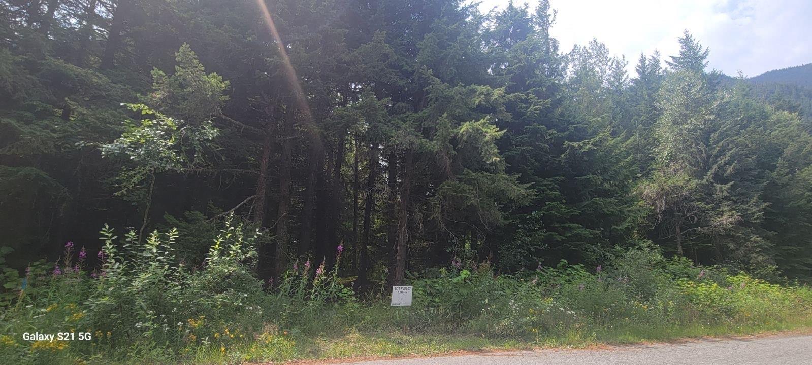 Sve107 Old Hope Princeton Highway, Sunshine Valley, Sunshine Valley, British Columbia V0X 1L5 - Photo 2 - R2912561